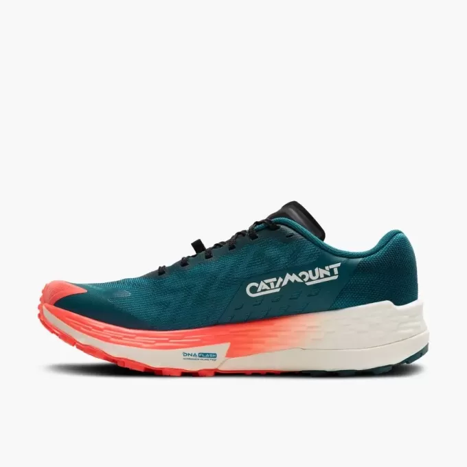 Brooks Catamount 4