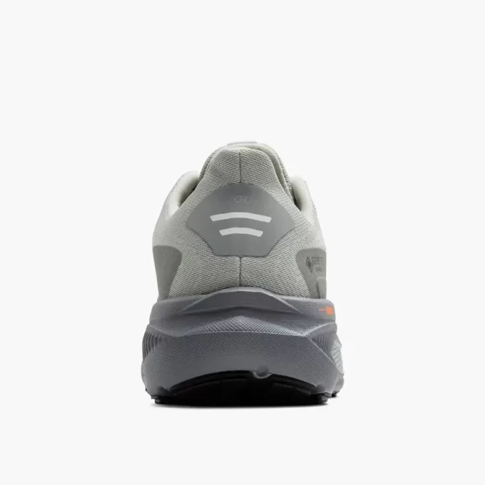 Brooks Ghost 17 GTX
